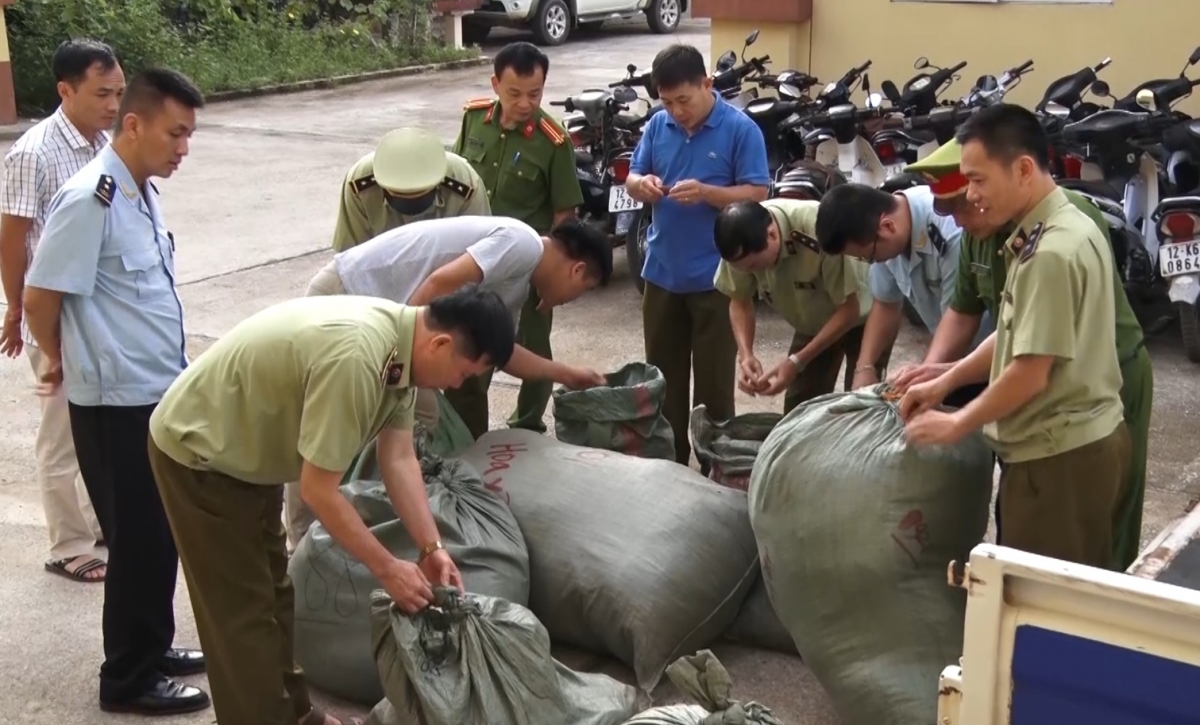 Lực lượng chức năng kiểm đếm số lượng nguyên liệu thuốc bắc bị thu giữ