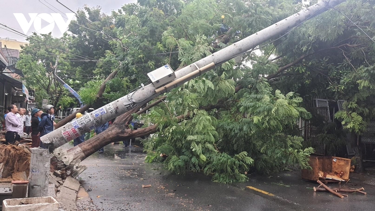 Cột điện bị gãy đổ trong bão số 5 tại khu vực miền Trung.
