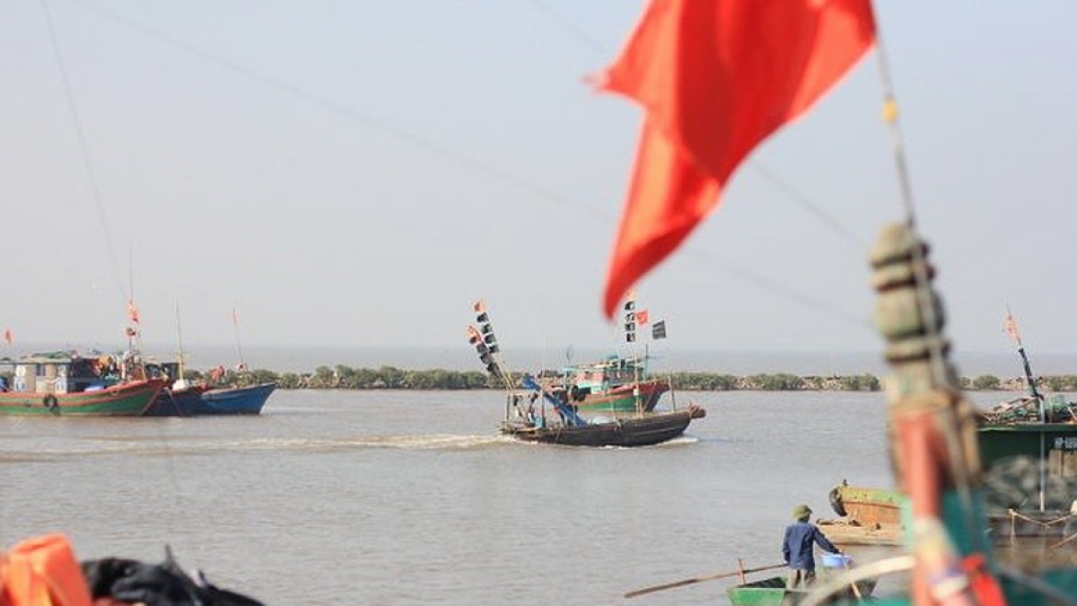 Ảnh minh họa: KT