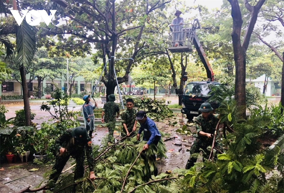 Các lực lượng chức năng ở Huế dọn dẹp cây xanh gẫy đổ sau bão.