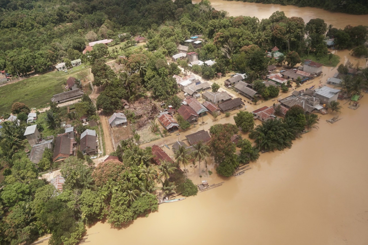 Lũ lụt nhấn chìm nhiều ngôi nhà ở miền Trung Kalimantan. Ảnh: Mongabay.