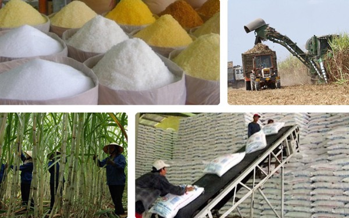 Đường nhập khẩu tăng 7 lần, tạo áp lực cạnh tranh với đường sản xuất trong nước.