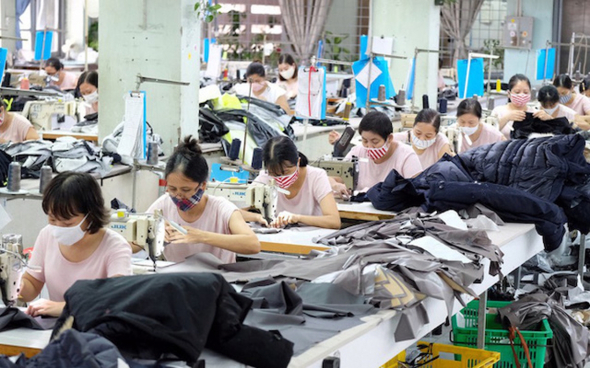 Tổng cục Thuế lý giải nguyên nhân khoản thu từ thuế thu nhập cá nhân vẫn tăng dù bị ảnh hưởng bởi dịch Covid-19 lần hai.