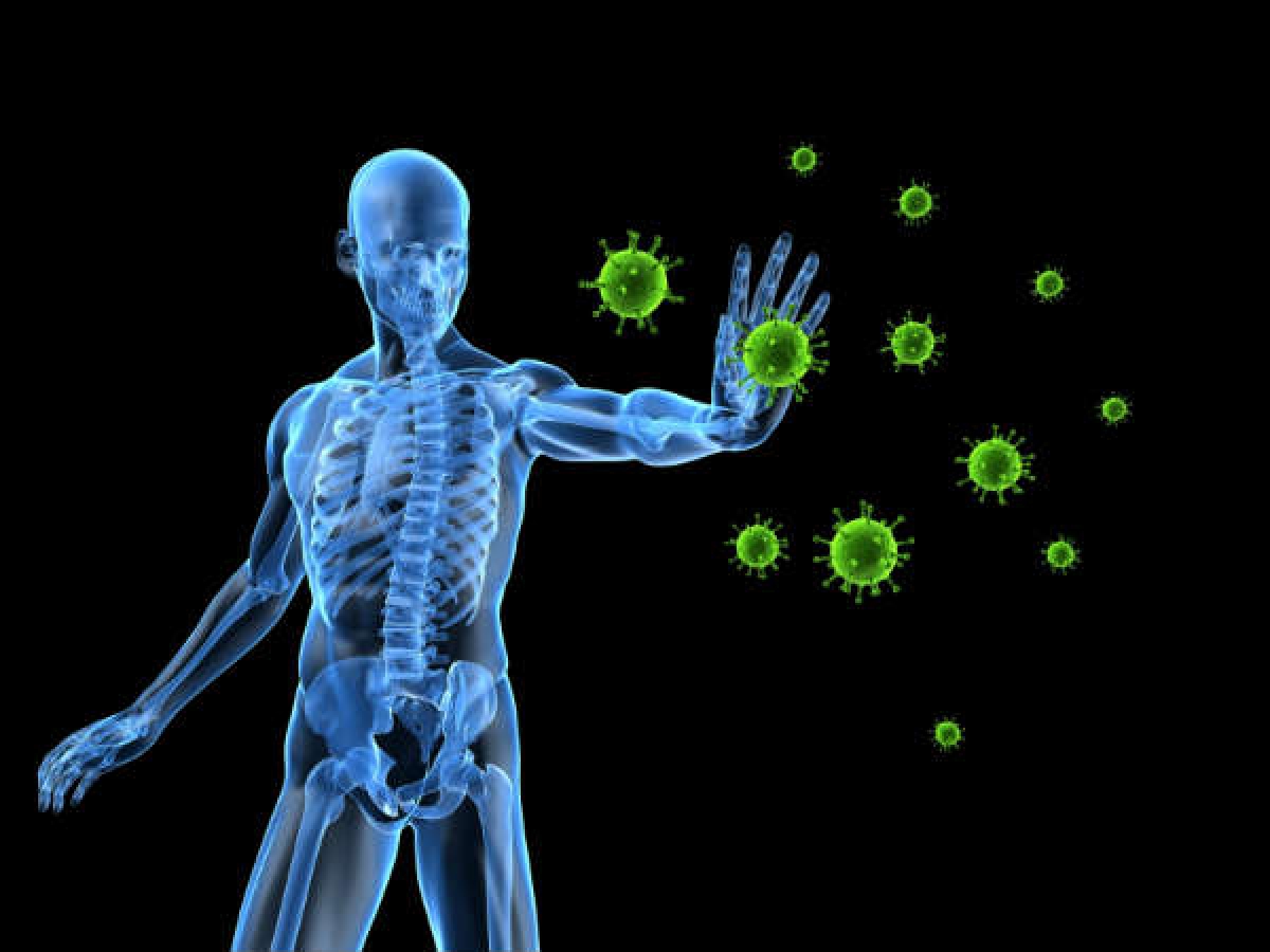 Tăng cường hệ miễn dịch: Dầu gan cá rất giàu vitamin A, một chất đóng vai trò quan trọng trong việc tăng cường hệ miễn dịch. Vitamin A giúp cải thiện sức đề kháng, từ đó giảm nguy cơ mắc các bệnh truyền nhiễm.