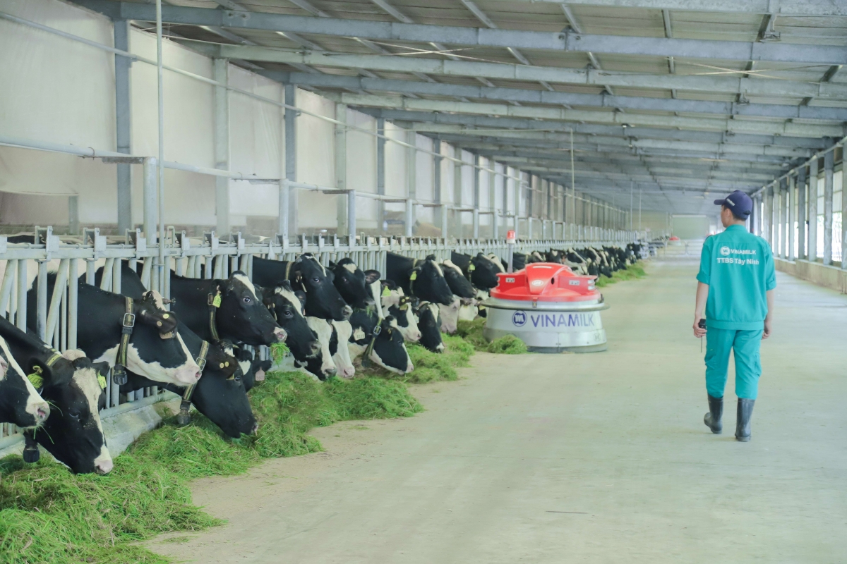 Vinamilk sẽ đẩy mạnh hơn nữa các chương trình về phát triển bền vững, thiết lập bộ phận chuyên môn về kinh tế tuần hoàn.