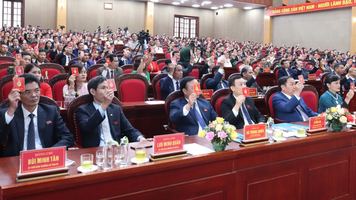 Các đại biểu biểu quyết