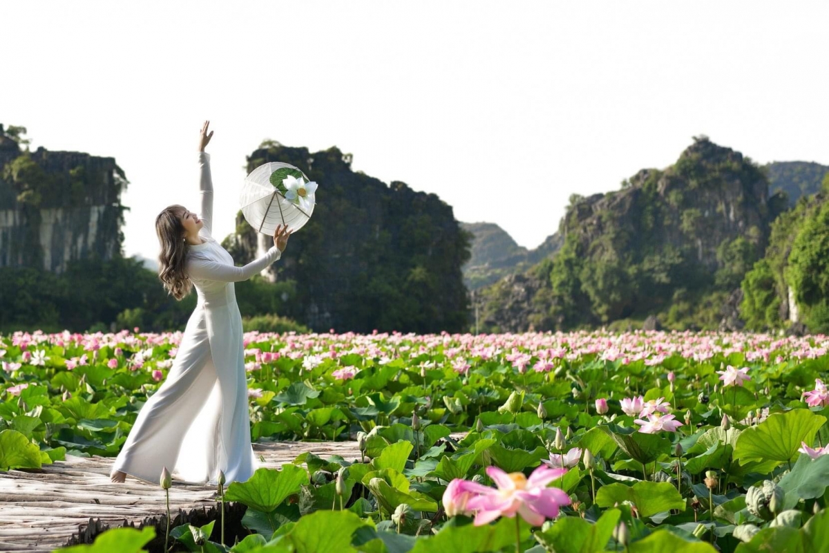 Những bức ảnh về hồ sen Hang Múa cũng thường xuyên xuất hiện trên nhiều hội nhóm chuyên review về du lịch.