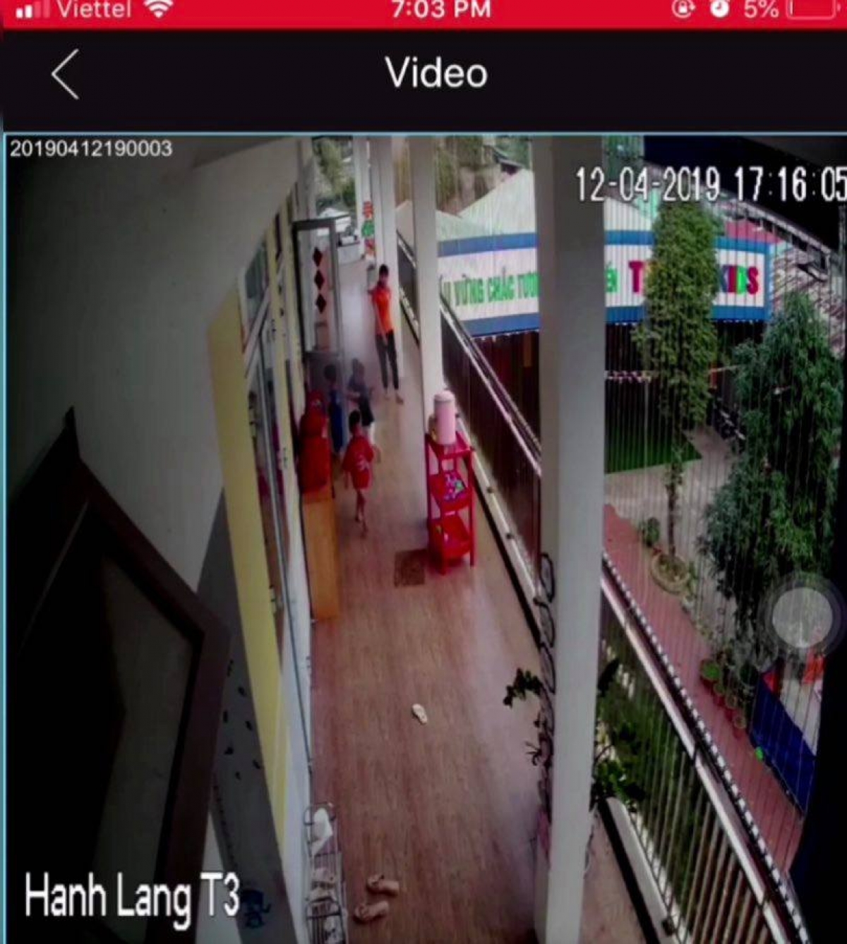 (Ảnh cắt từ clip)