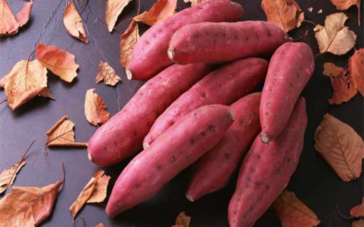 Khoai lang không chỉ giàu năng lượng mà còn chứa beta carotene giúp đẩy lùi virus một cách nhanh chóng./.