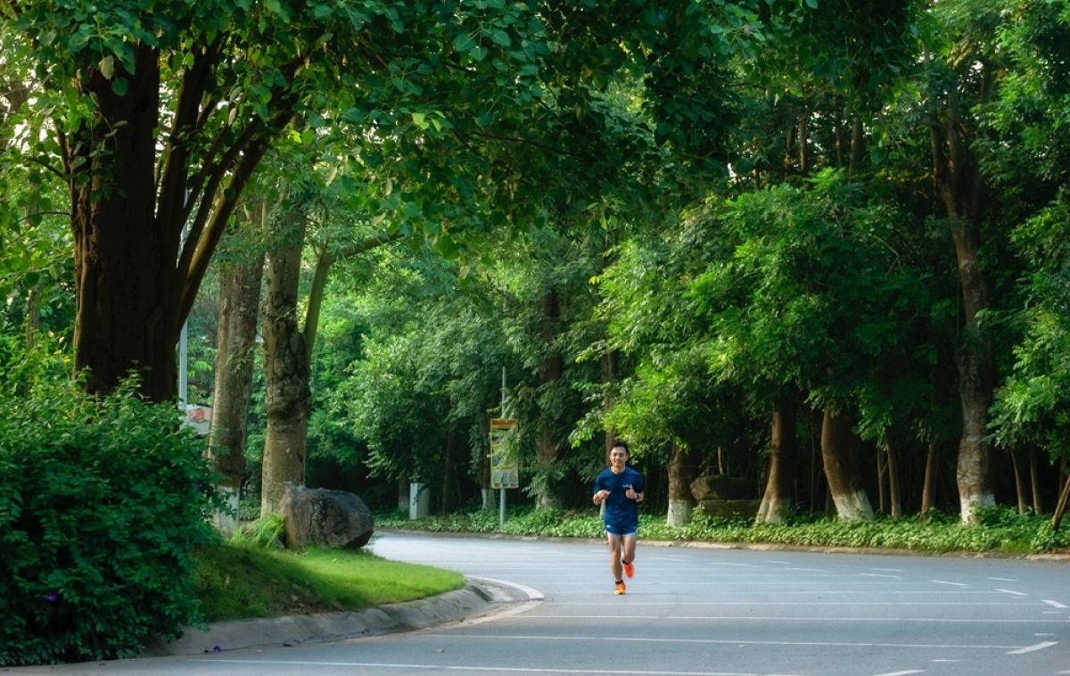 “Không gian sống tại Ecopark có thể khiến những người lười nhất cũng muốn bước ra ngoài vận động. Từ ngày về đây, hai vợ chồng mình có nhiều khoảnh khắc bên nhau, cùng hít thở không khí trong lành, ngắm hoa hay những chú chim thiên nga, vịt trời nô đùa dưới hồ. Đây cũng là lý do mình sẵn sàng đánh đổi thời gian di chuyển lấy không gian sống trong lành, nhiều cây xanh ở Ecopark. Mỗi ngày, mình chỉ muốn mau chóng hoàn thành công việc để về nhà”, chị Linh nói.