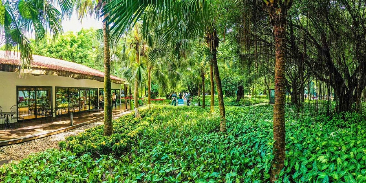 ”Nhà mẫu Sky Oasis được xây dựng trong công viên Mùa Xuân với không gian tràn ngập cây xanh. Tại khu đô thị này, tất cả các công trường xây dựng, nhà mẫu hay văn phòng đều được bao quanh bởi các rừng cây rộng mênh mông. Đây là điểm đặc biệt tại Ecopark mà không có bất cứ khu đô thị nào.