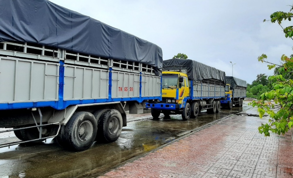 Hiện trường vụ việc.