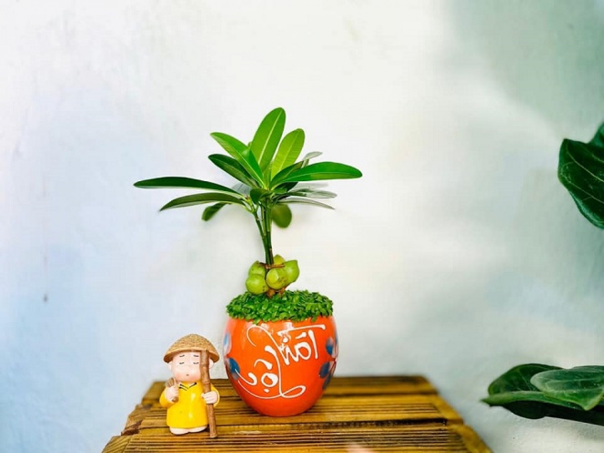 Nguồn ảnh: Internet