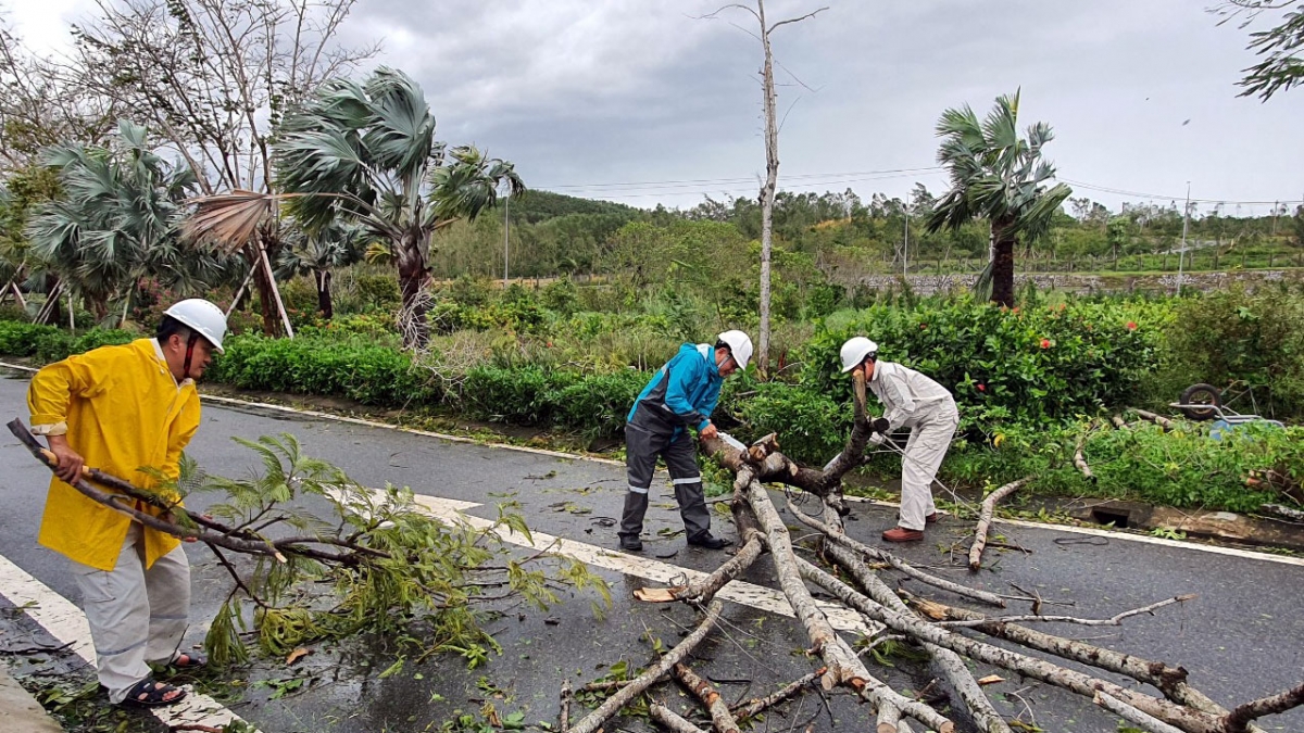 CBCNV Công ty tiến hành thu gom, dọn dẹp sau bão số 9.