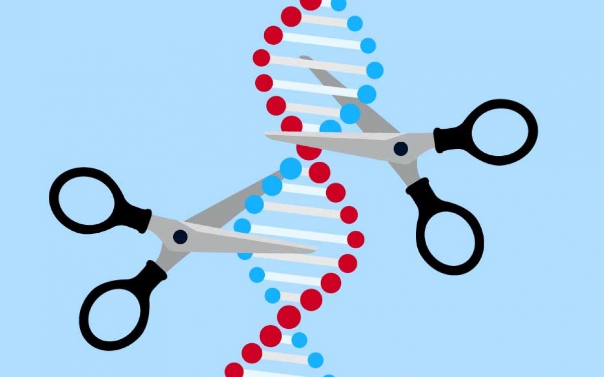Ảnh minh họa về "kéo cắt gen". Ảnh: Science News.