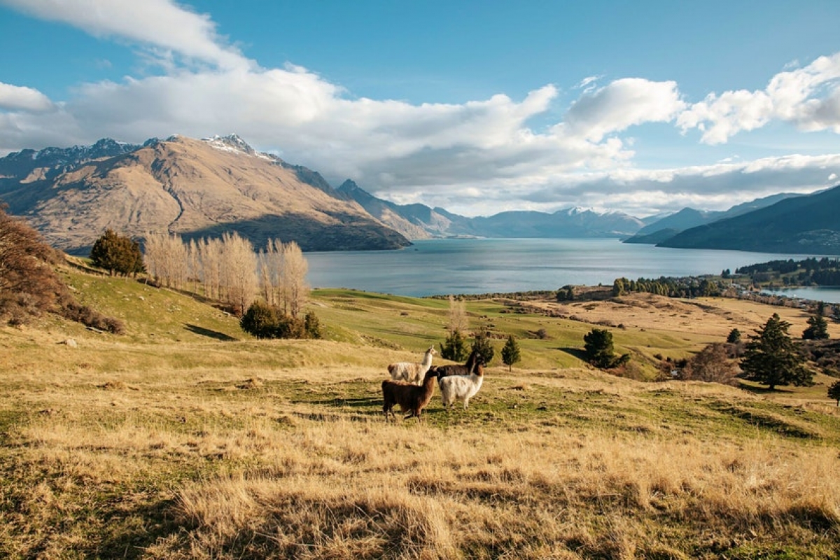 Tầm nhìn toàn cảnh hướng ra hồ nước và dãy núi The Remarkables