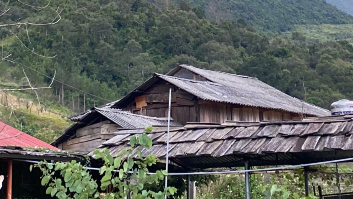 Sau khi giết bố, Lò Văn Ương bỏ trốn lên khu rừng sau bản, ăn lá ngón tự sát