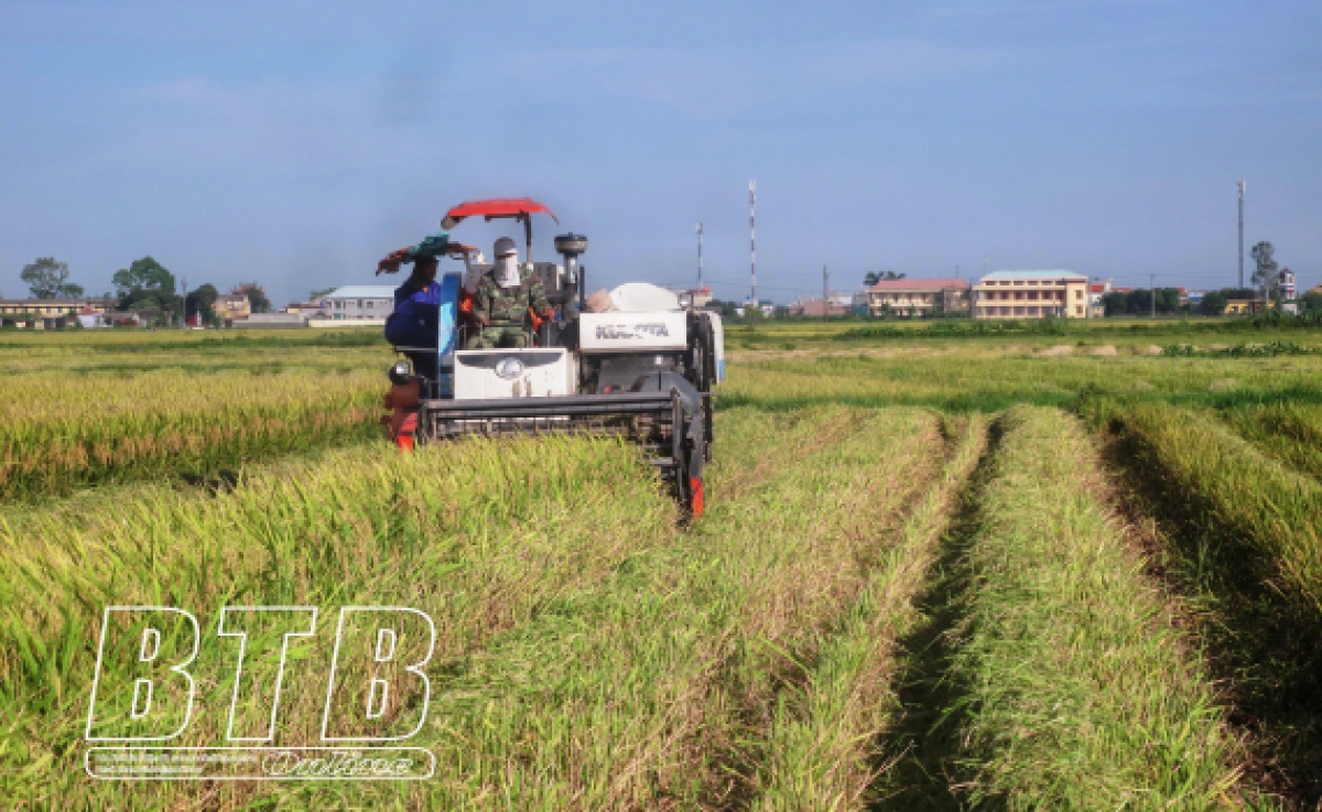 Ảnh minh họa/Báo Thái Bình