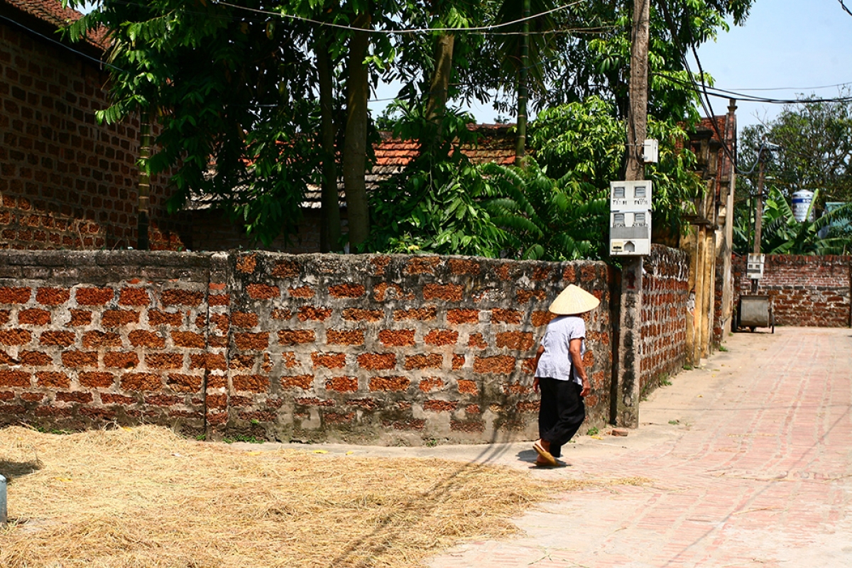 Ảnh minh họa.