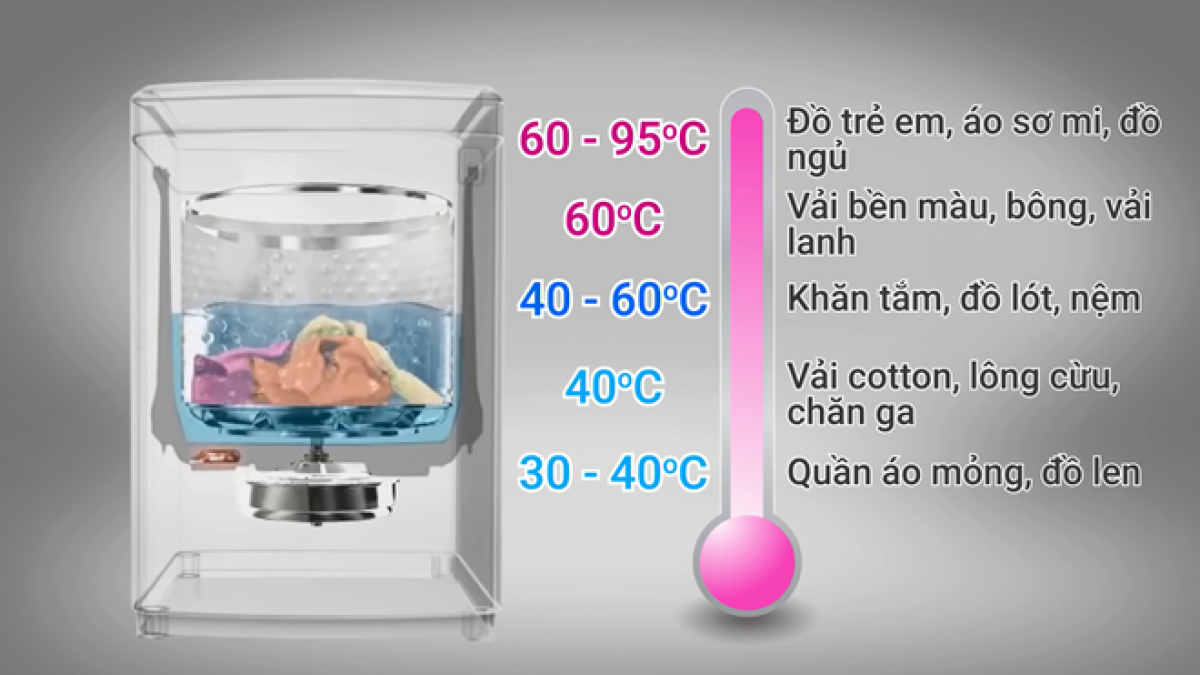 Nguồn: Internet