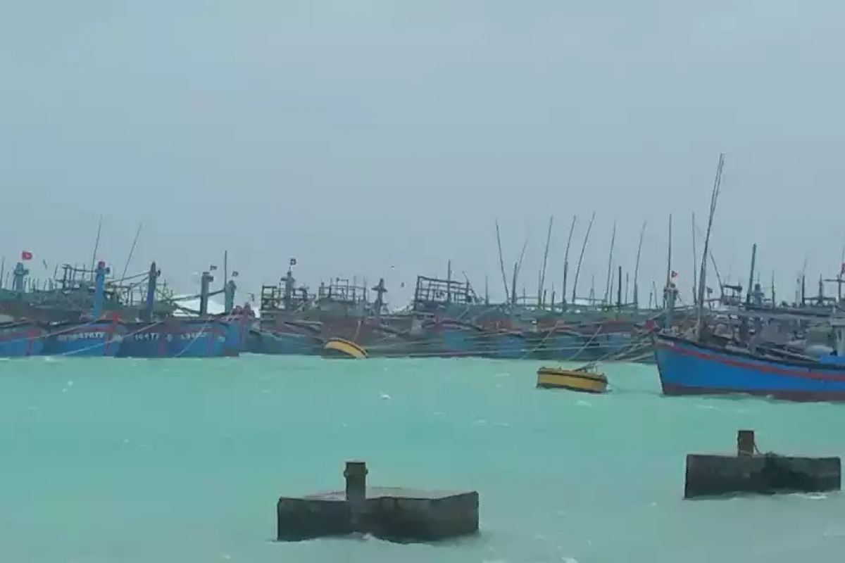 Các tàu cá vào tránh trú an toàn tại âu tàu Song Tử Tây. Ảnh: Vùng 4 Hải quân cung cấp