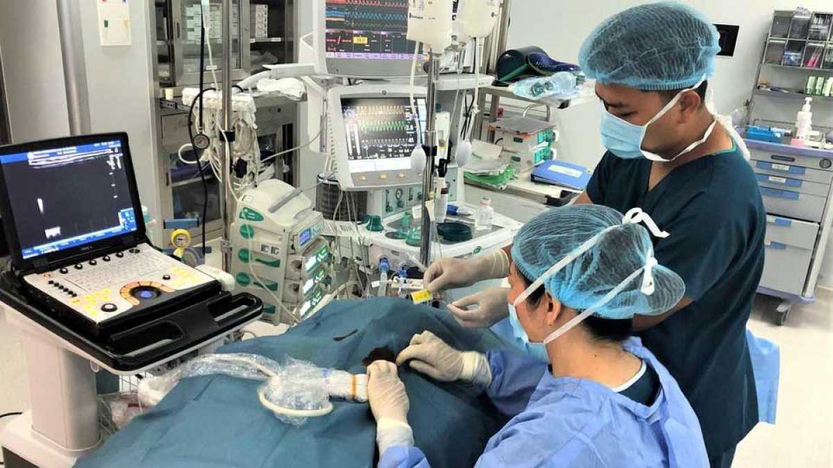 Vinmec là một trong những bệnh viện đầu tiên trên thế giới áp dụng và nghiên cứu về hiệu quả của kỹ thuật gây tê mặt phẳng cơ dựng sống kiểm soát các cơn đau do mổ tim.