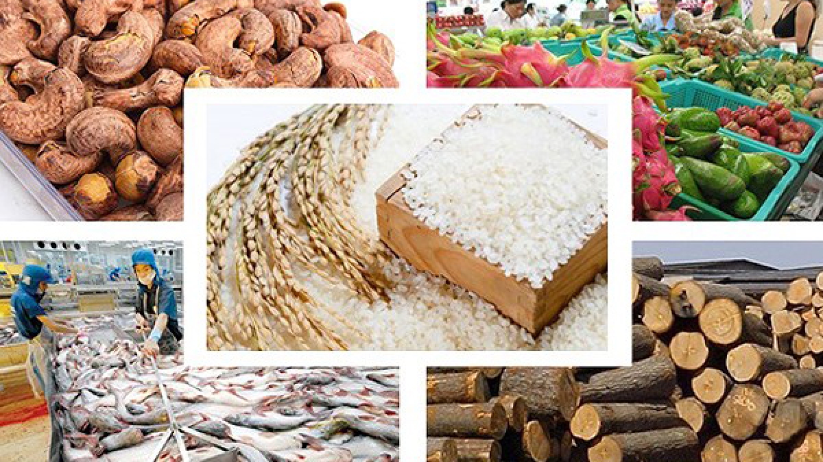 Dịch Covid-19 đã làm đứt gãy chuỗi giá trị nông sản tại Việt Nam.