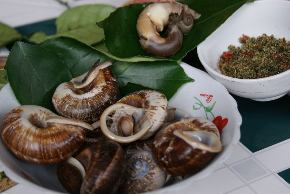 Món ốc chấm muối cheo