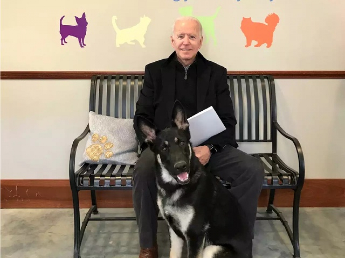Ông Biden và chú chó Major. Ảnh: Fox News
