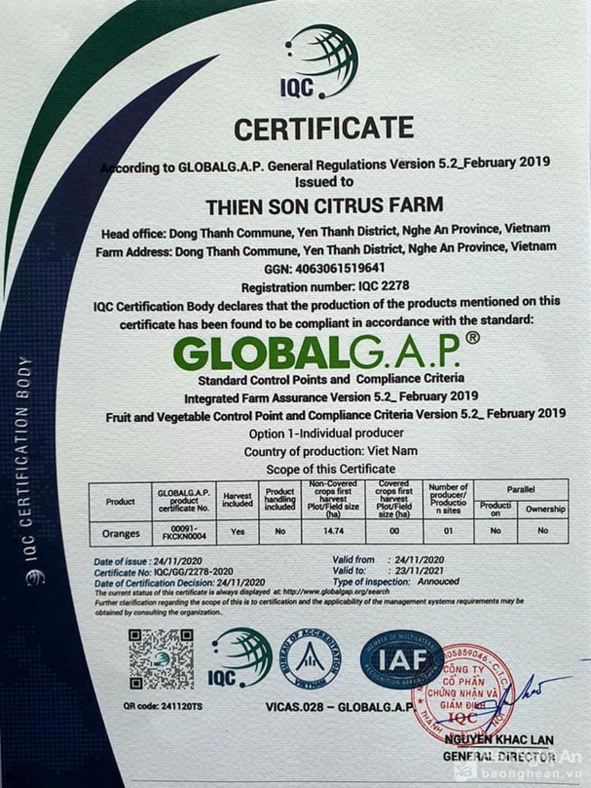 Trang trại cam Thiên Sơn đạt chứng chỉ GLOBALGAP. (Ảnh: Xuân Giáo)