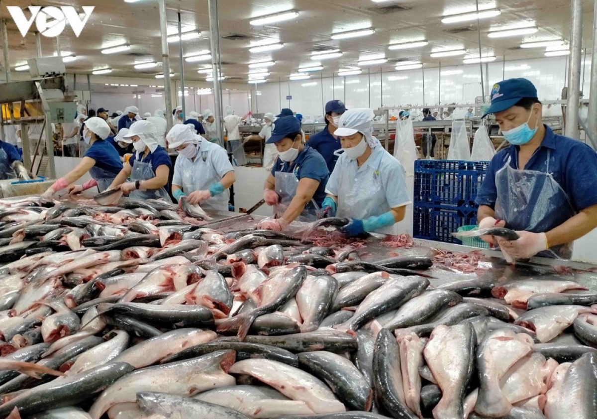 Vùng ĐBSCL nắm giữ rất nhiều sản phẩm ưa chuộng của thị trường thế giới. (Ảnh minh họa)