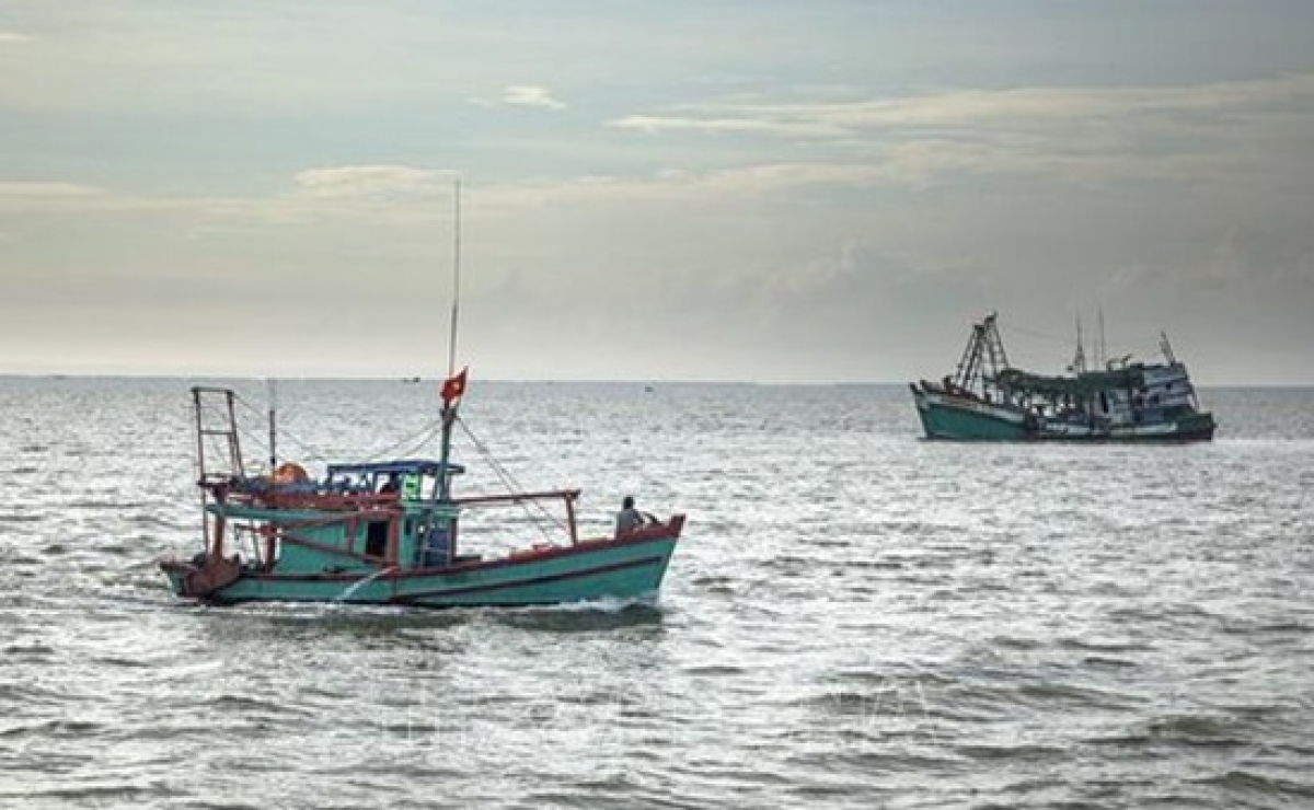 Ảnh minh họa: KT.