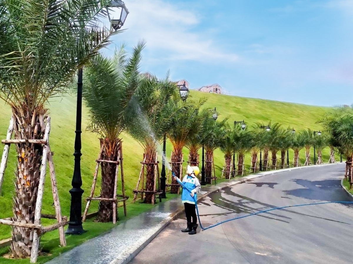 Lối dẫn vào sảnh đón khách với hàng cọ xanh tươi hai bên.