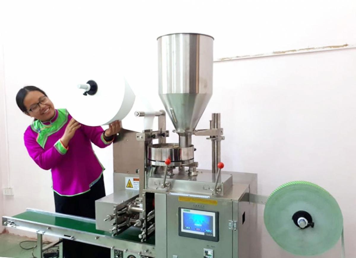 Chị Nhung đầu tư máy móc để sản xuất, chế biến các sản phẩm trà túi lọc tam thất, bột tam thất...