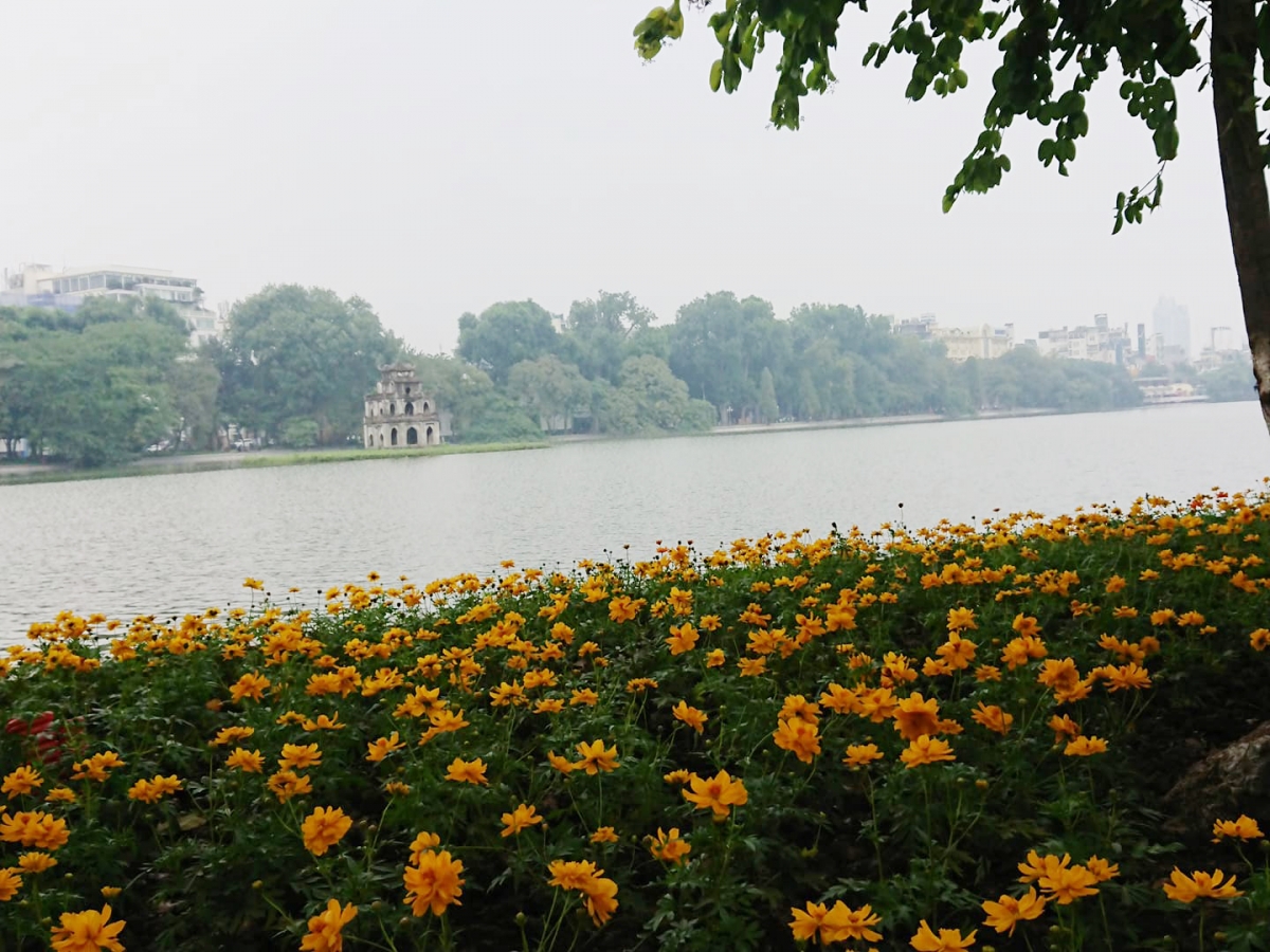 (ảnh minh họa)