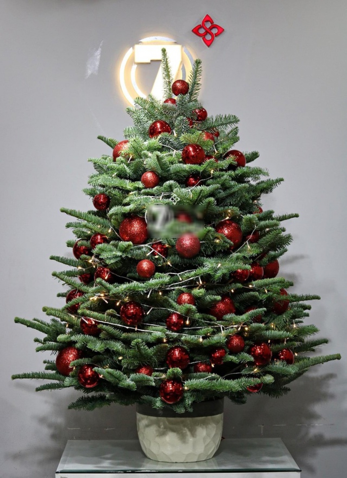 Những cây thông Noel tuyệt đẹp trong mùa lễ Giáng sinh.