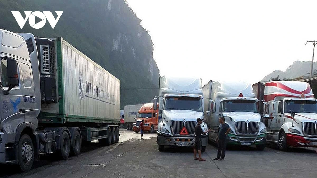 Trung Quốc là thị trường nhập khẩu lớn nhất của Việt Nam (Ảnh minh họa)