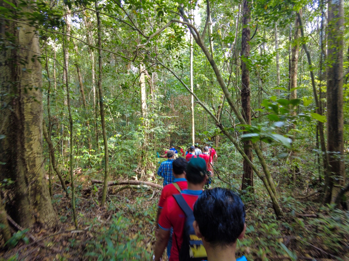Chương trình trekking xuyên rừng của Hội HDV Phú Quốc. Nguồn: Trương Công Tâm