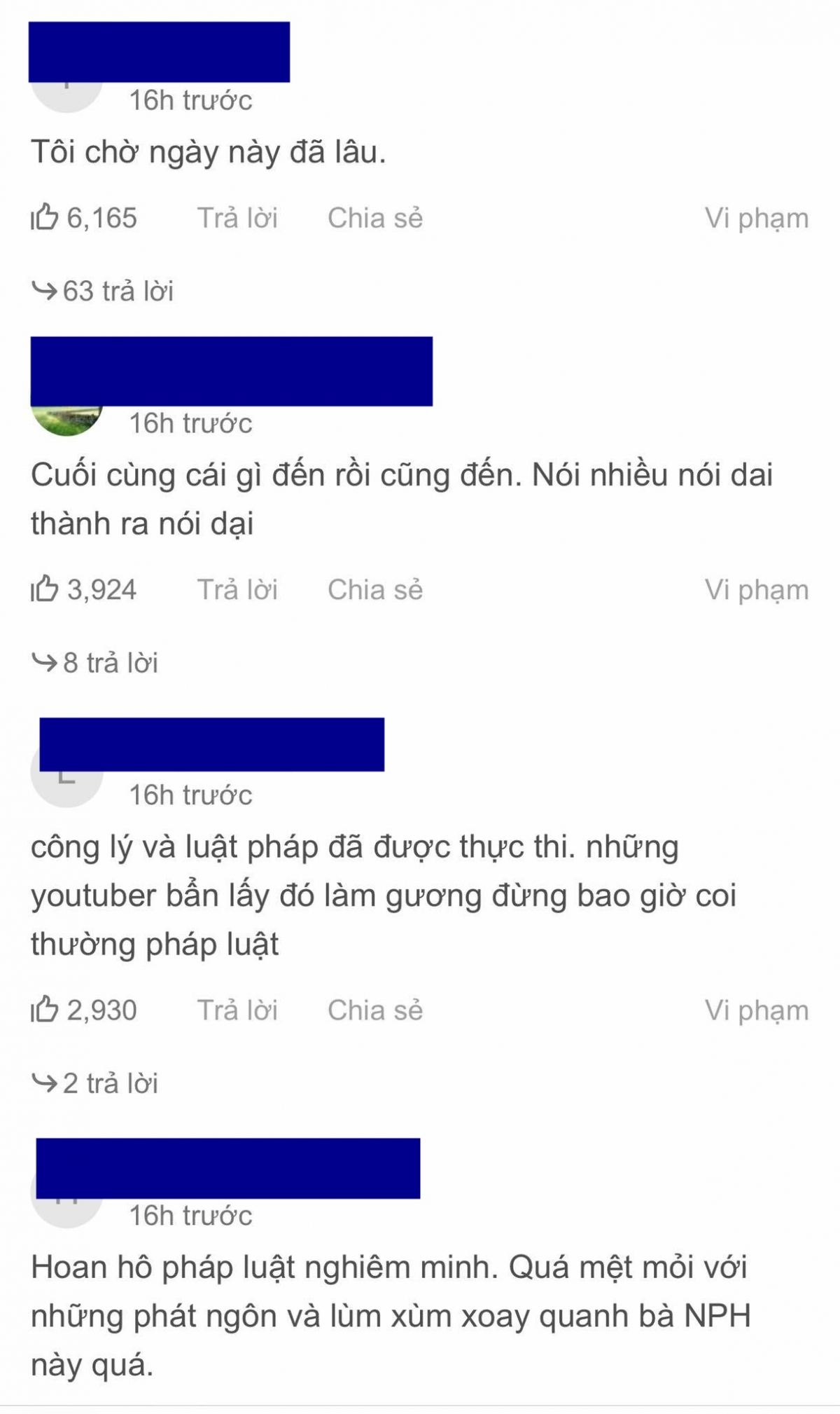 Đa số ý kiến bày tỏ đồng tình với việc bắt tạm giam Nguyễn Phương Hằng.