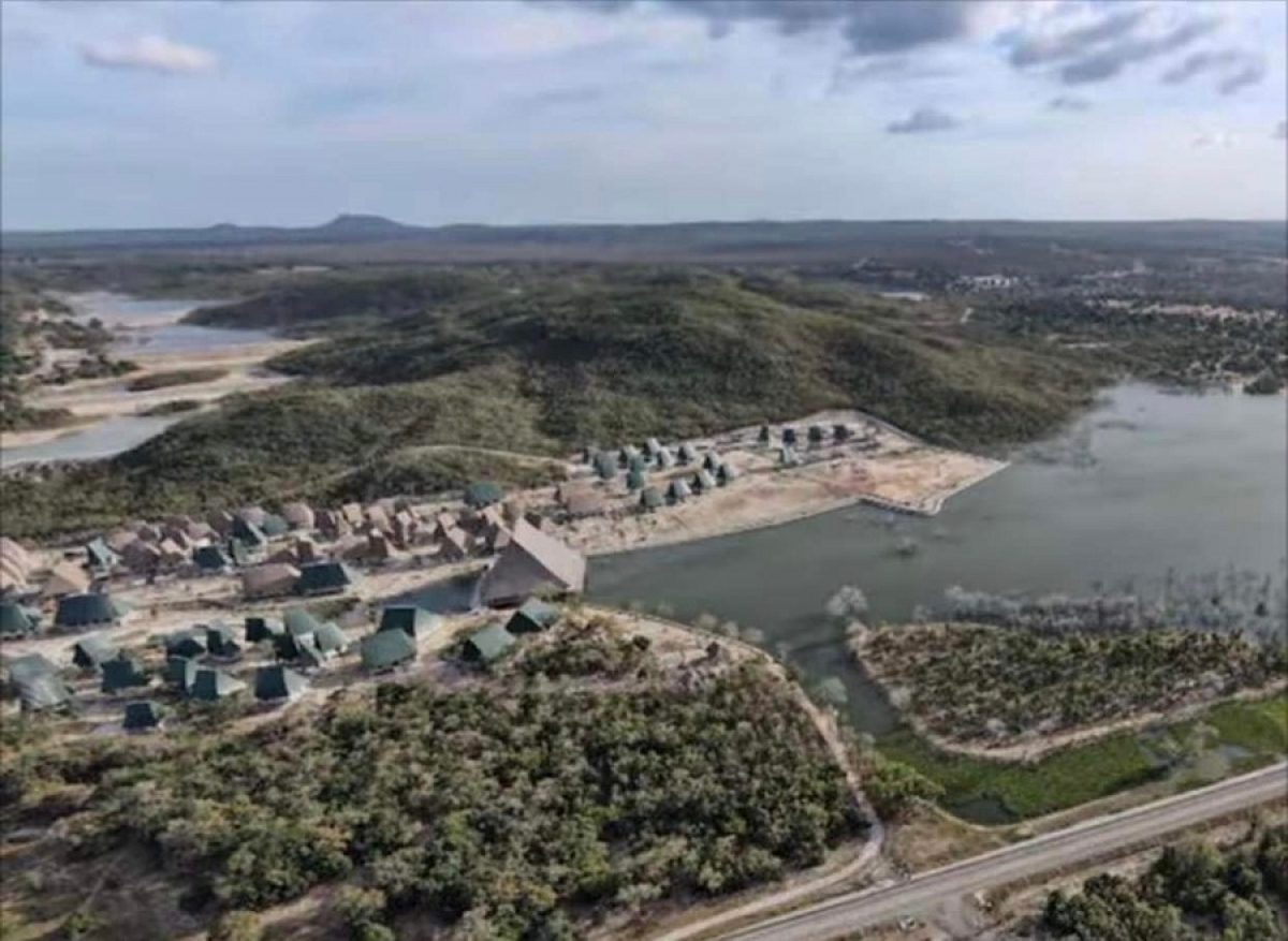 Bên trong rừng dầu Hồng Liêm (Ảnh: D.Quang).