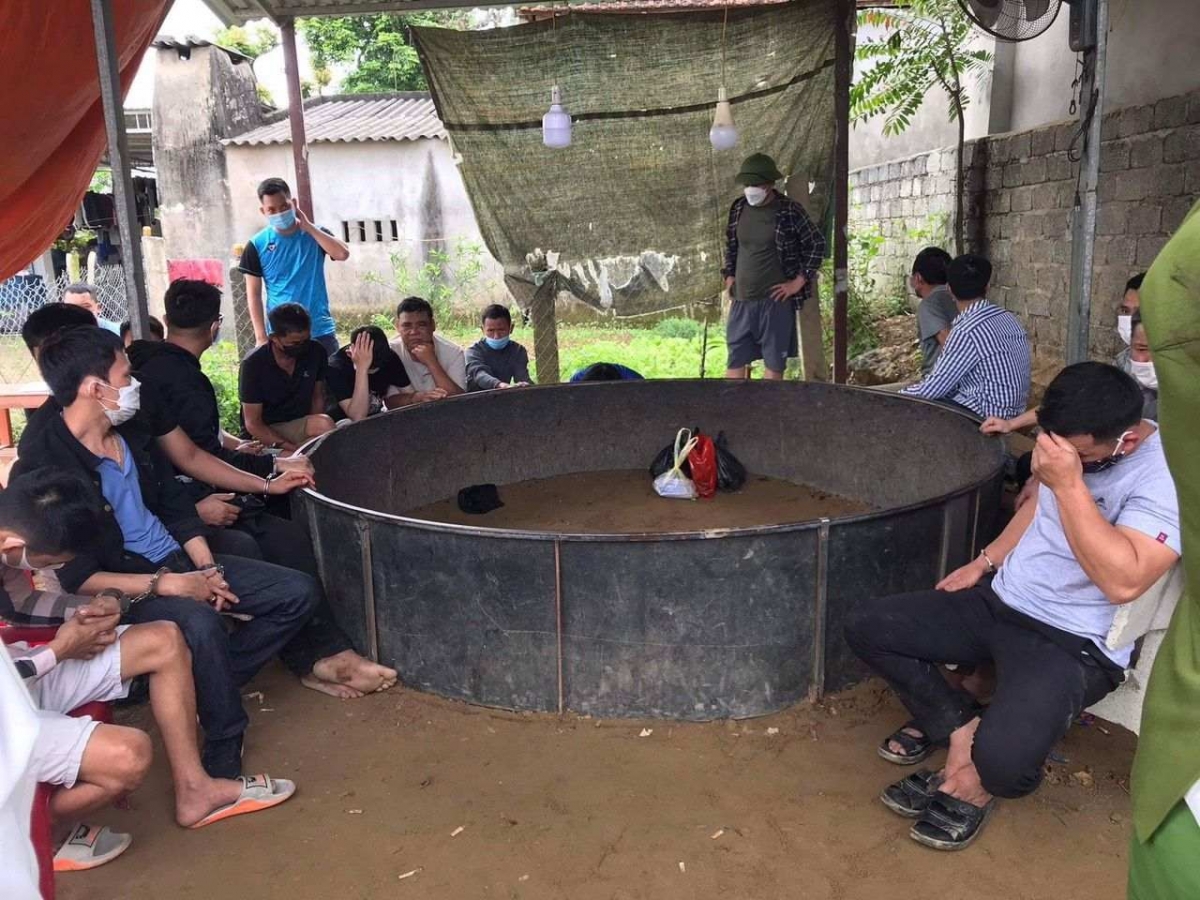 Hiện trường sới đá gà ăn tiền.