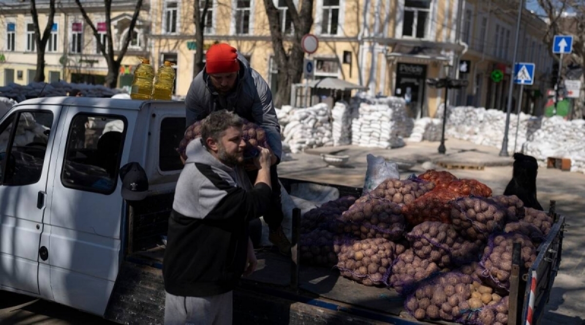 Nông dân Ukraine thu hoạch nông sản. (Ảnh: Deinpott)