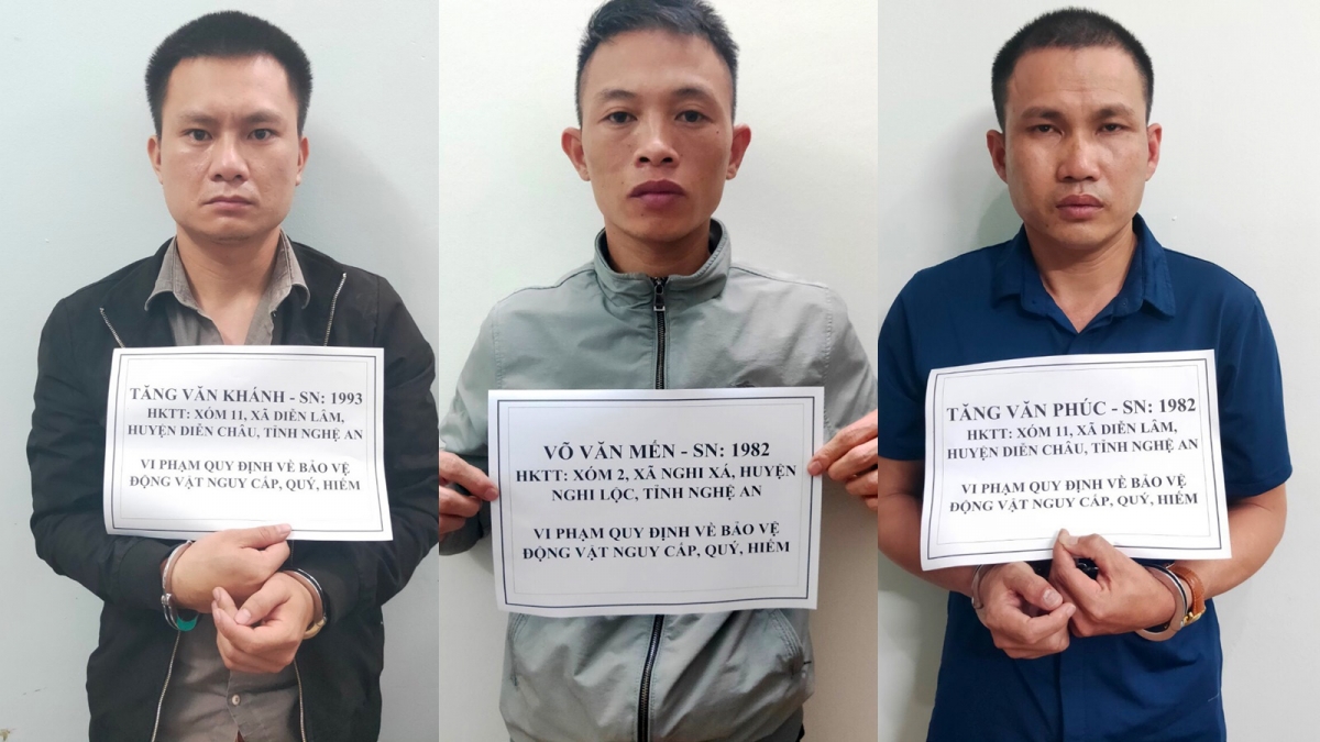 Các đối tượng bị tạm giữ hình sự