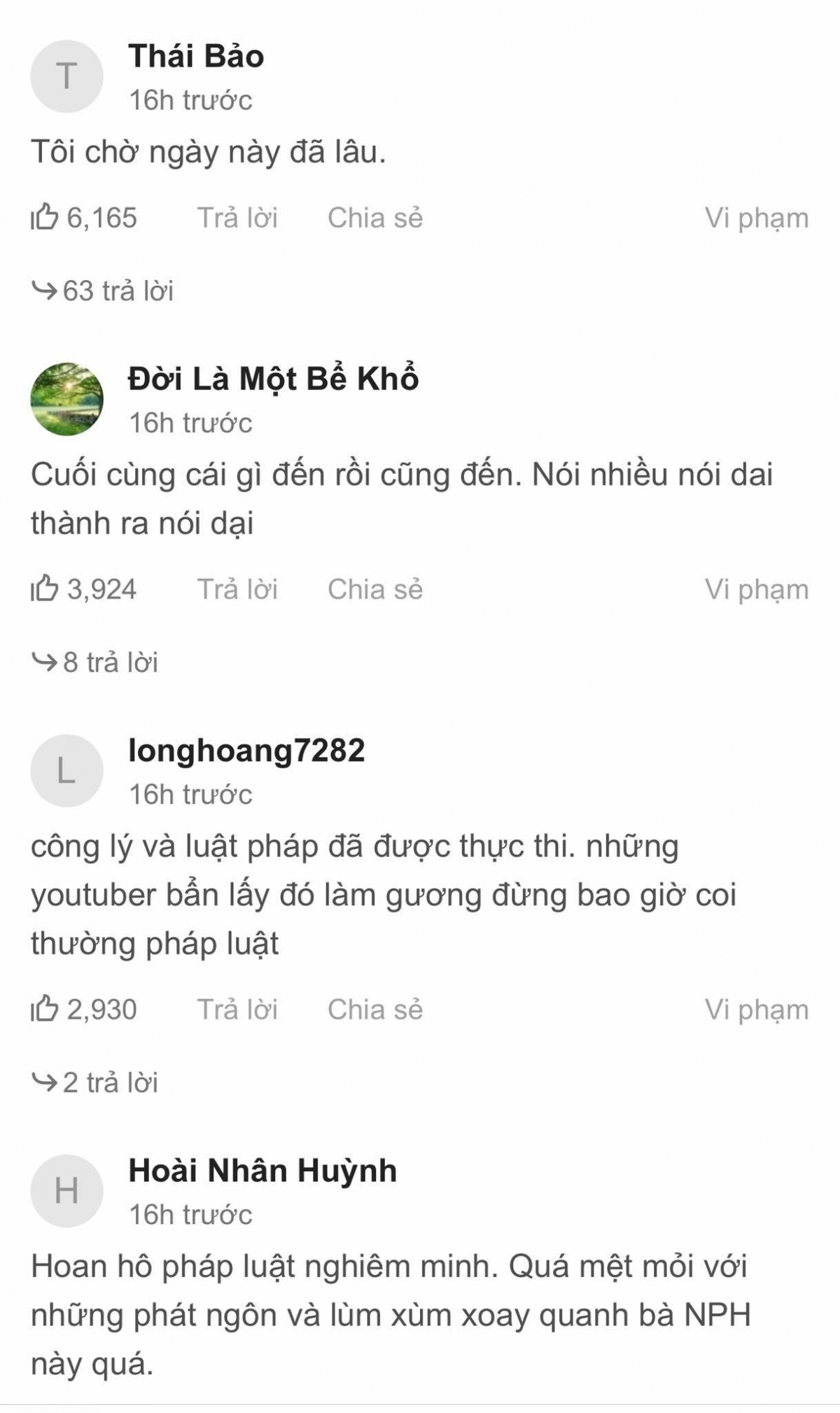 Đa số ý kiến bày tỏ đồng tình với việc bắt tạm giam Nguyễn Phương Hằng.