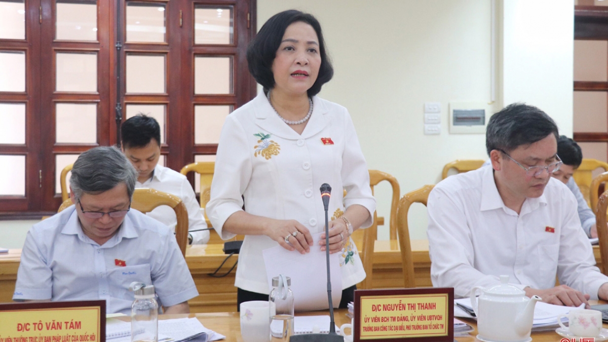 Phó Trưởng ban Tổ chức Trung ương Nguyễn Thị Thanh phát biểu tại buổi làm việc. (ảnh: Báo Hà Tĩnh)