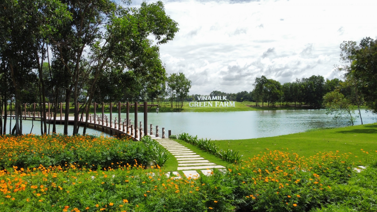 Trang trại Vinamilk Green Farm - mô hình trang trại công nghệ cao đi đôi với phát triển bền vững được Vinamilk giới thiệu vào năm 2021. (Ảnh: Duy Nhất)