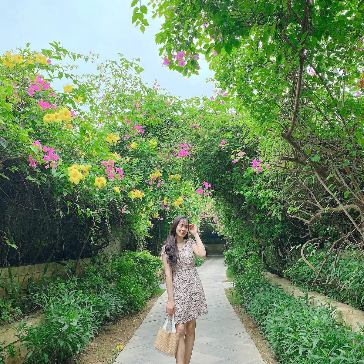 Hoa giấy được trồng xen kẽ với huỳnh anh tạo nên background rực rỡ sắc màu nhiệt đới cho các nàng thả dáng (Ảnh: voisocutee)