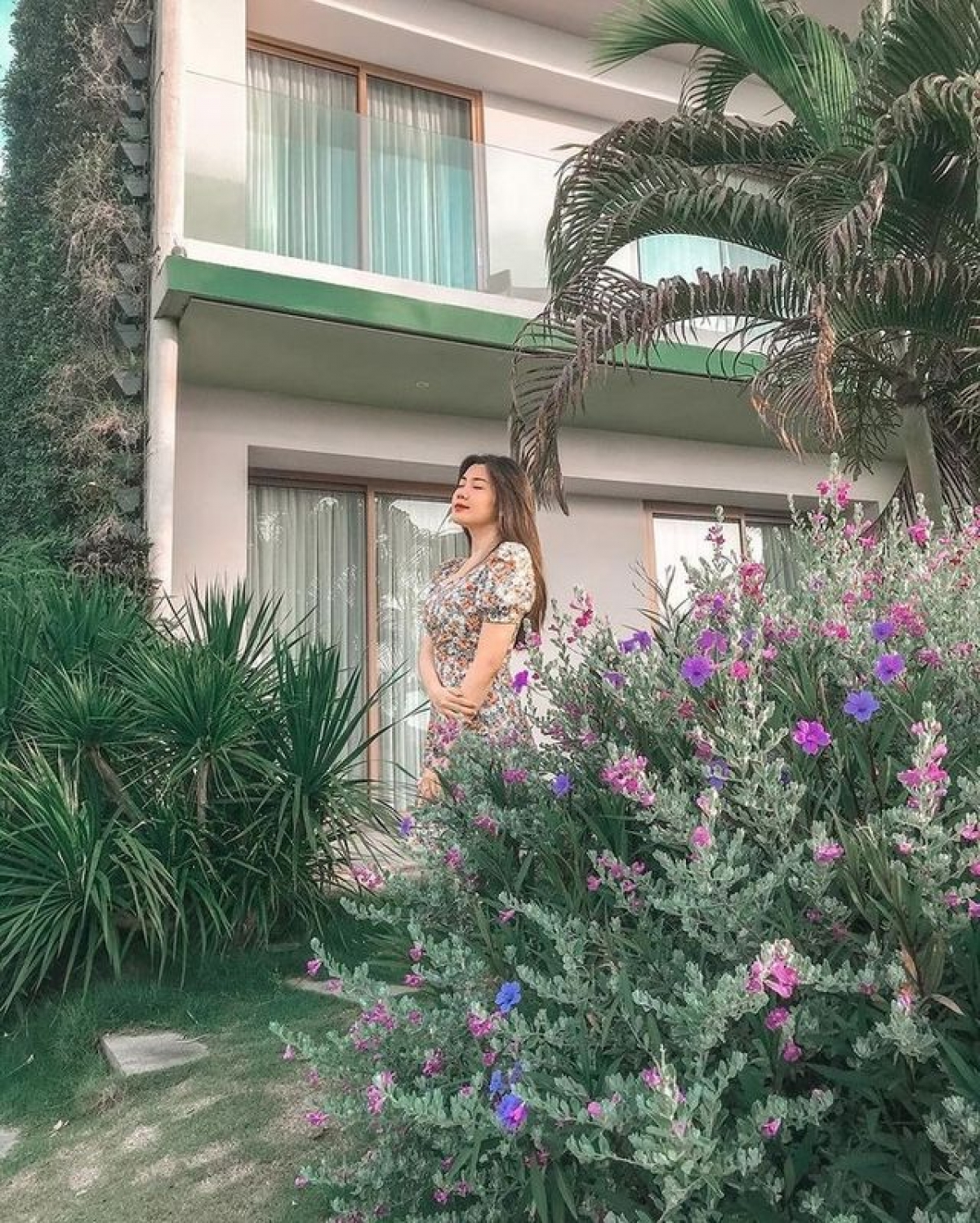 Tuyết sơn phi hồng mang vẻ đẹp rất riêng: càng nắng gió, sắc hoa càng rực rỡ (Ảnh: Mai Thu Hà)