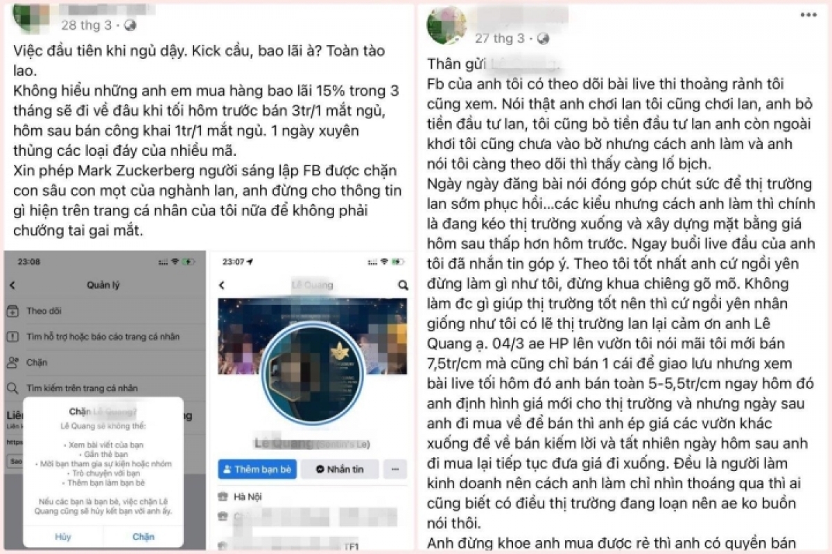 Người chơi lan đột biến