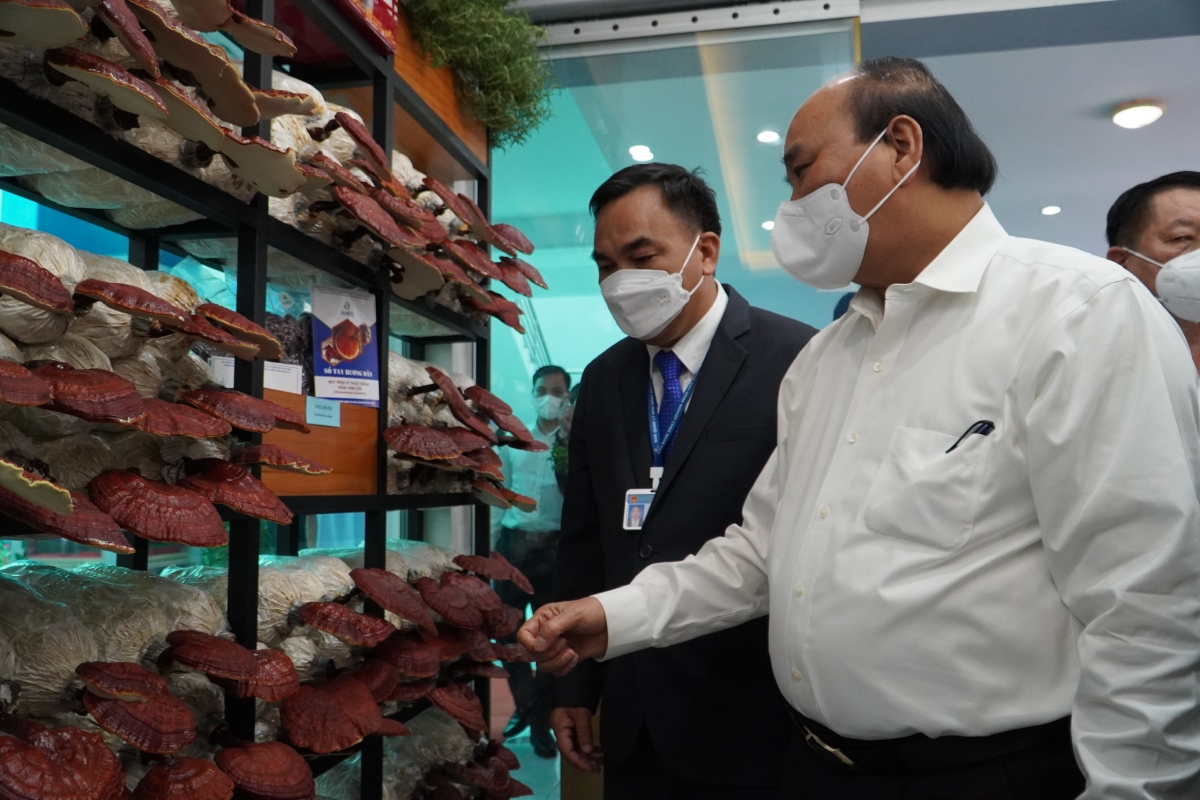 Chủ tịch nước Nguyễn Xuân Phúc nghe giới thiệu về các sản phẩm của Khu Nông nghiệp Công nghệ cao TPHCM.